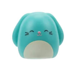 Squishmallows Squishalongs 2 Pack Blind Assortment Hot