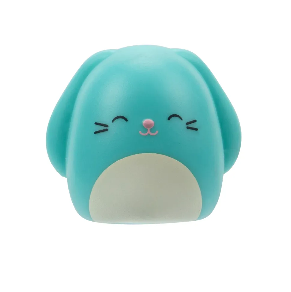 Squishmallows Squishalongs 2 Pack Blind Assortment Hot