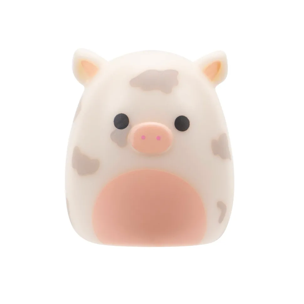 Squishmallows Squishalongs 2 Pack Blind Assortment Hot