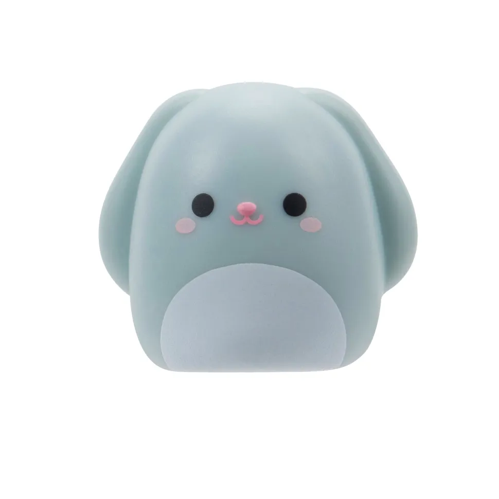 Squishmallows Squishalongs 2 Pack Blind Assortment Hot