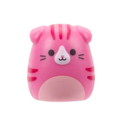 Squishmallows Squishalongs 2 Pack Blind Assortment Hot